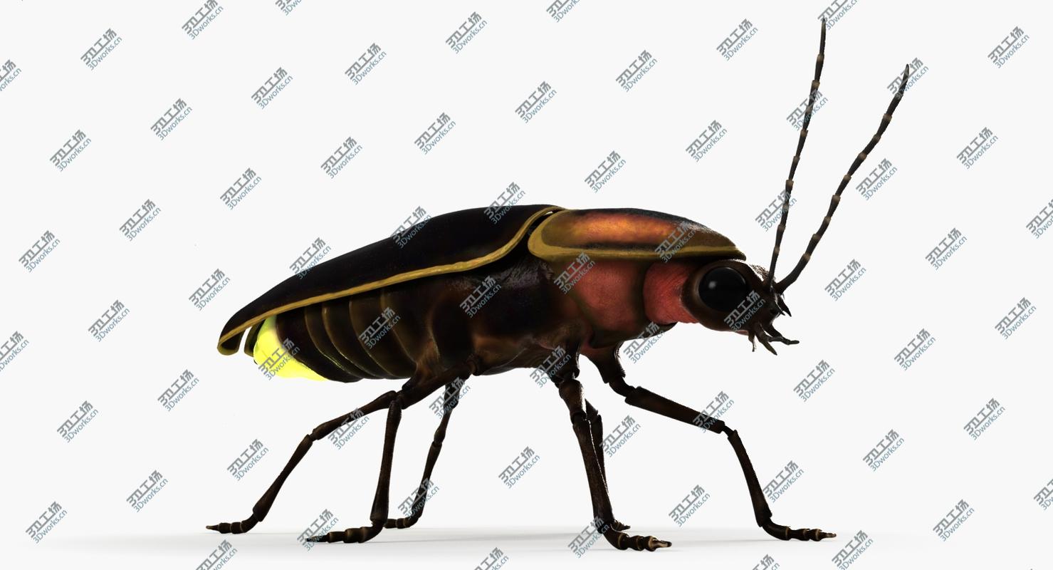 images/goods_img/20210319/3D model Firefly/5.jpg